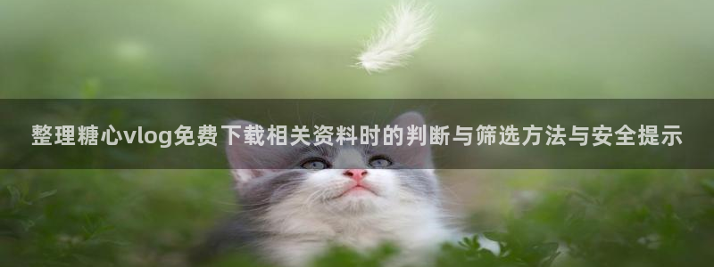 糖心传媒在线:整理糖心vlog免费下载相关资料时的判断与筛选方法与安全提示