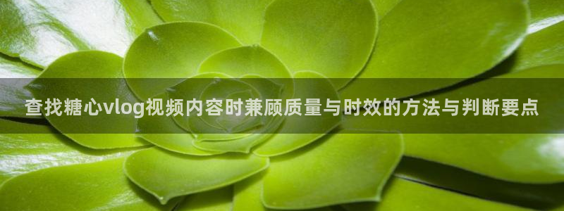 糖心vlog在线播放